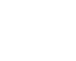 Es gibt Einzel- oder Doppel-Quads Schutzhelme sind unbedingt zu tragen Das Fahren eines Einzelquadt ist erst ab 16 Jahren möglich Mindestgröße des Fahrers ist 1,20m 